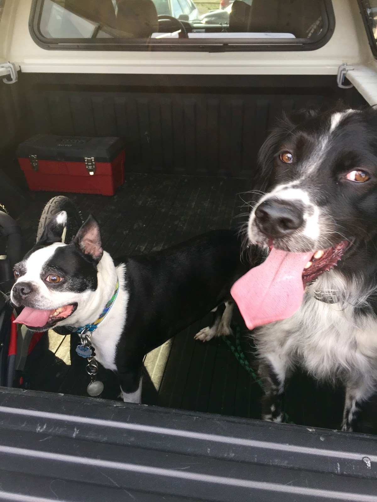 Krutzpack Moving On After AML March 2016