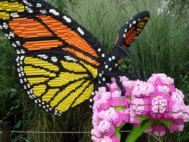 From My Carolina Home - North Carolina Arboretum From My Carolina Home - North Carolina Arboretum
