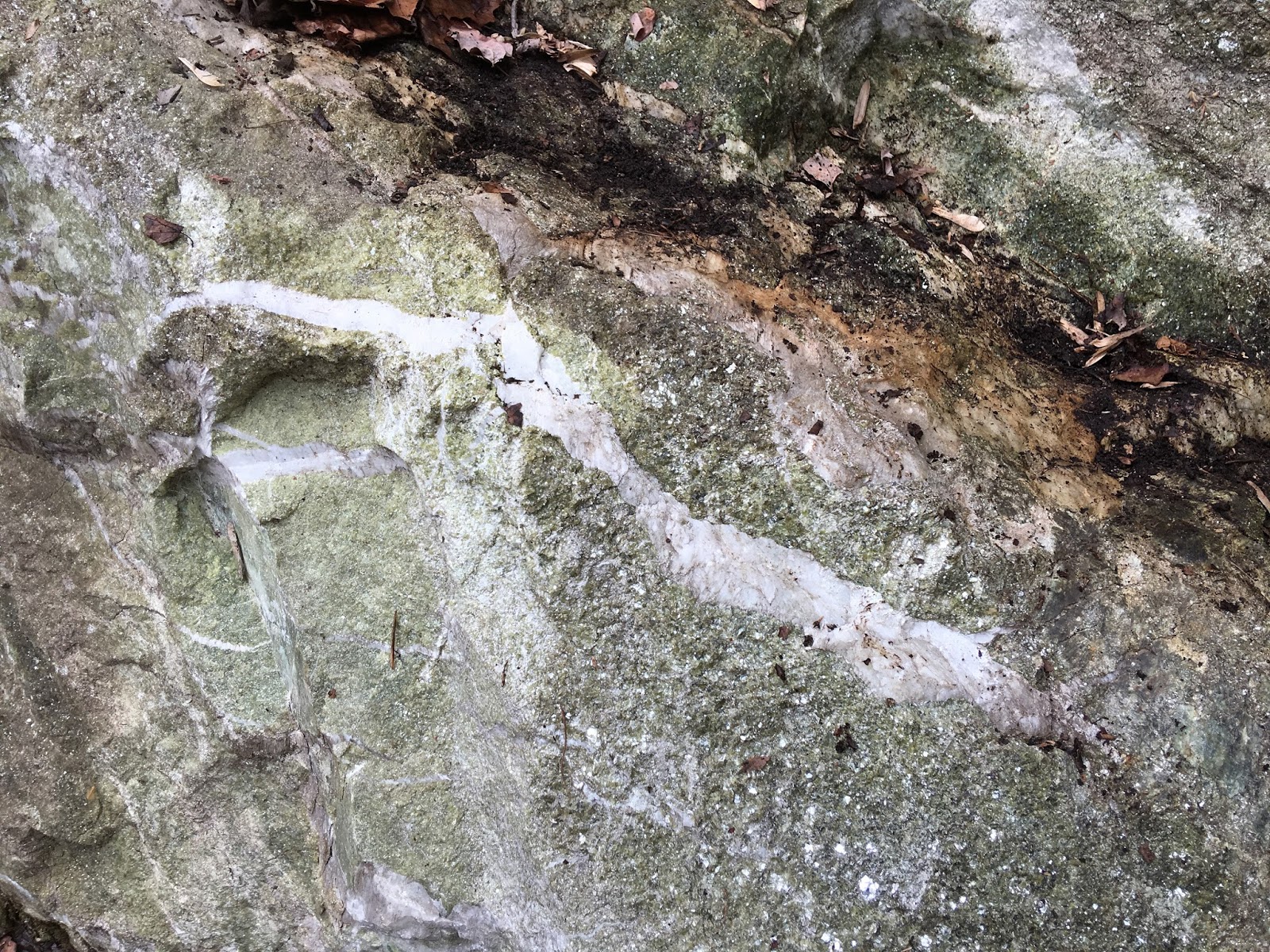 Stephanie Rockhound Extraordinaire C K WIlliams Quarry Field Trip