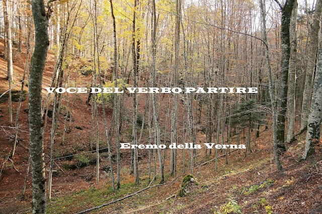 AUTUNNO EREMO DELLA VERNA COSA FARE