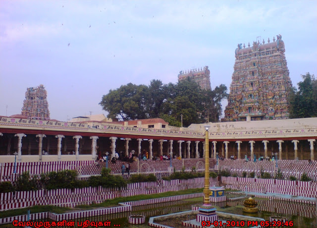 Madurai Golden Lotus Temple Tank