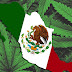 Cámara de Diputados de México aprueba legalización de la marihuana