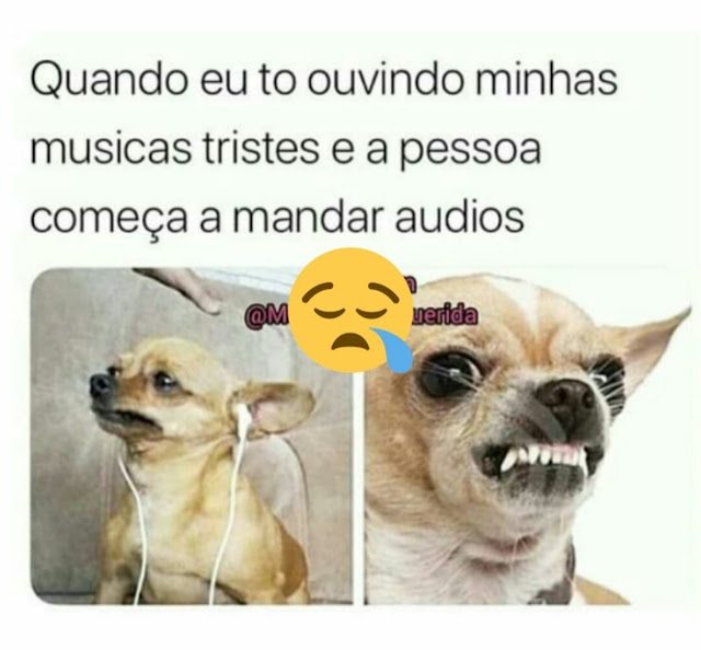 Memes+engra%25C3%25A7ados+%252818%2529.j