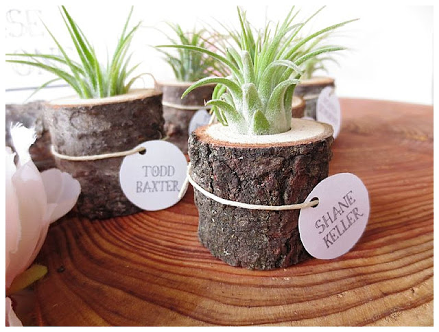 Una planta para los invitados de tu boda - Foto: www.weddingsdressesideas.blogspot.com.es Una planta para los invitados de tu boda - Foto: www.weddingsdressesideas.blogspot.com.es