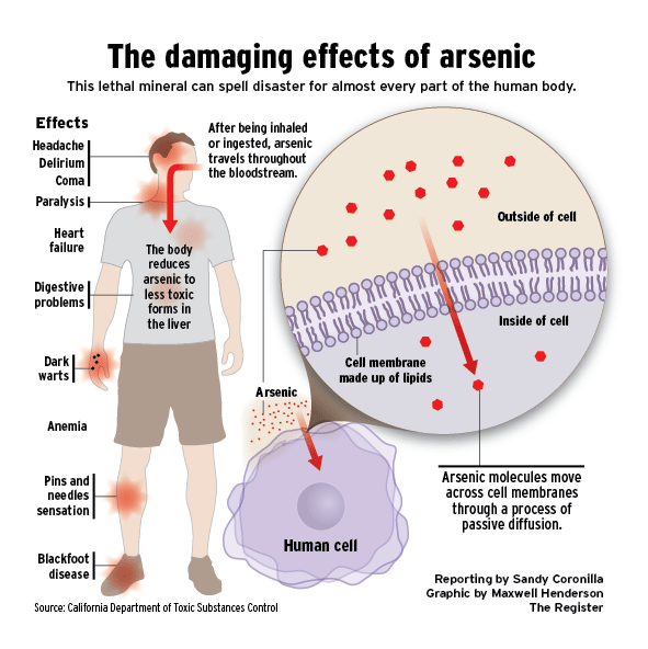 EcoWaste Coalition Pushes Ban on Use of Arsenic for Wood Treatment and