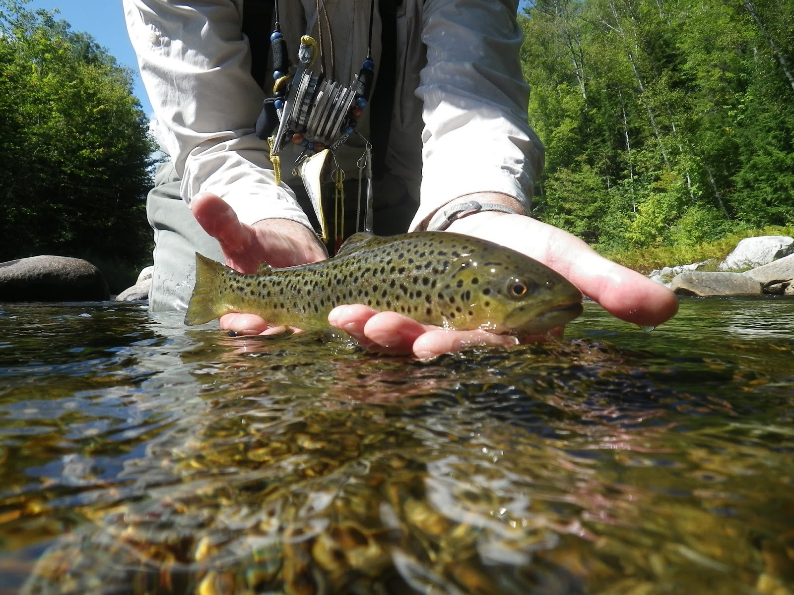 First Cast Fly Fishing Fly Fishing Lessons in New Hampshire The