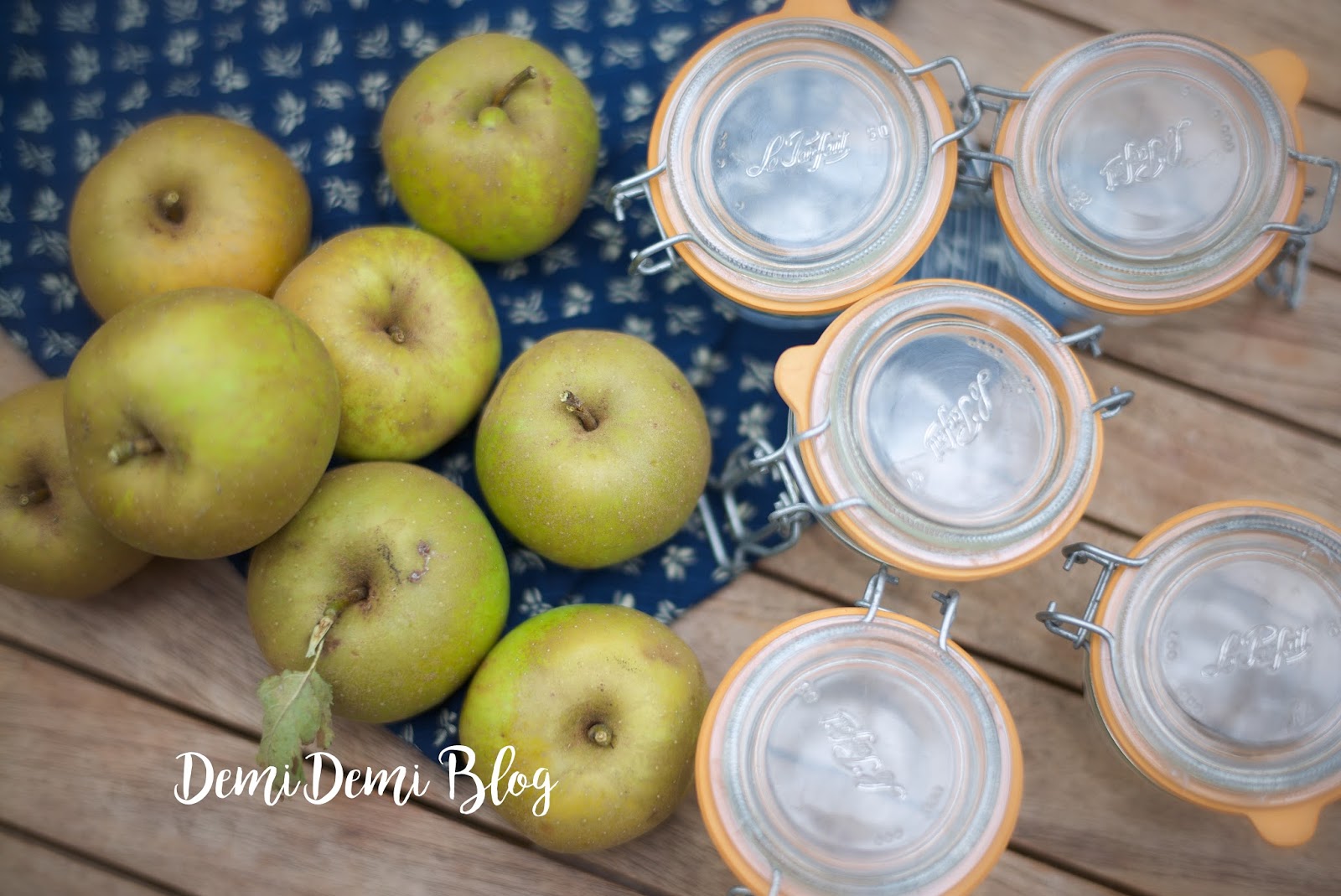 Demidemi blog Compote de pommes + bocaux Le Parfait / Comment les mettre en conserve?