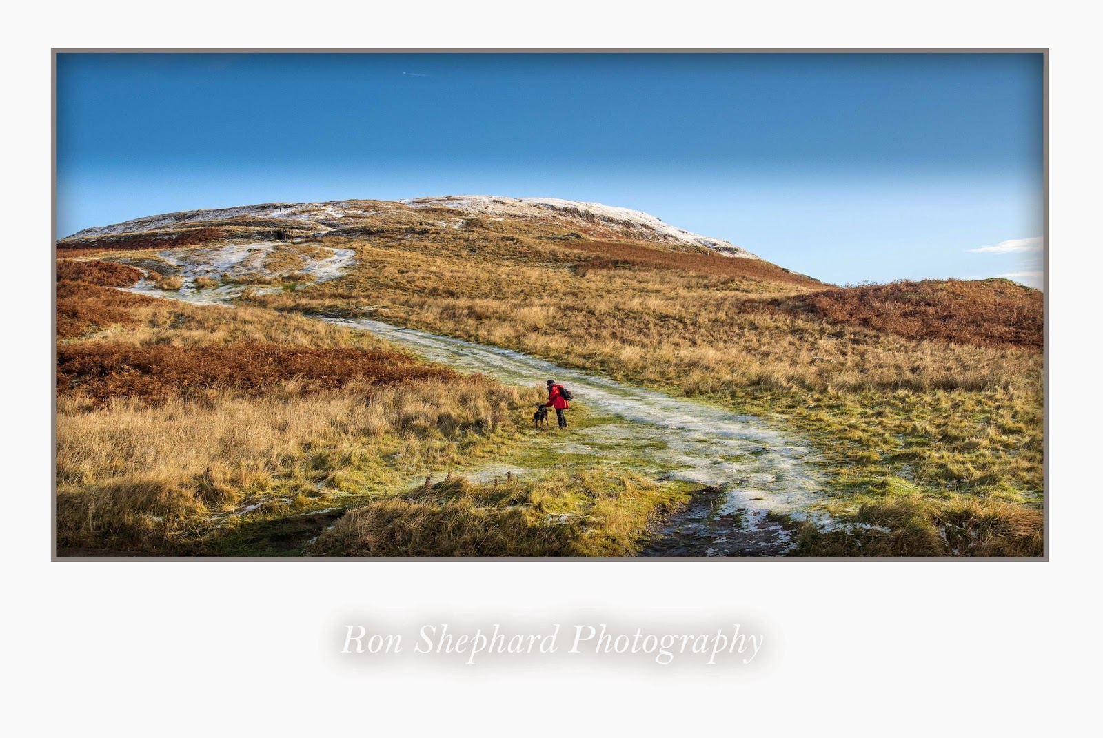 Campsie Photographs October 2014