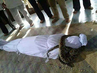 Kisah Mayat Yang di Lilit Ular di Zaman Khalifah Abu Bakar As-Shiddiq, Untuk Renungan Kita Sebagai Orang Muslim Kisah Mayat Yang di Lilit Ular di Zaman Khalifah Abu Bakar As-Shiddiq, Untuk Renungan Kita Sebagai Orang Muslim