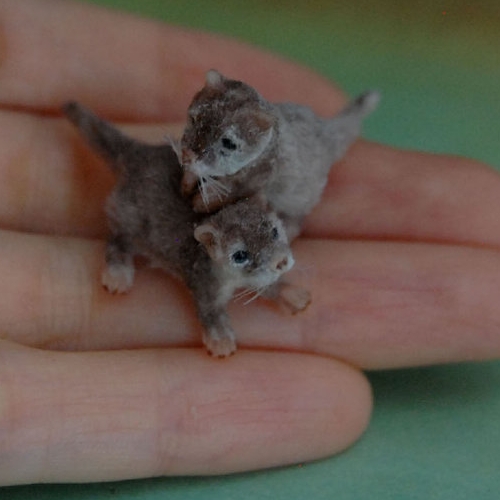 16-Baby-Otters-ReveMiniatures-Miniature-Animal-Sculptures-that-fit-on-your-Hand-www-designstack-co