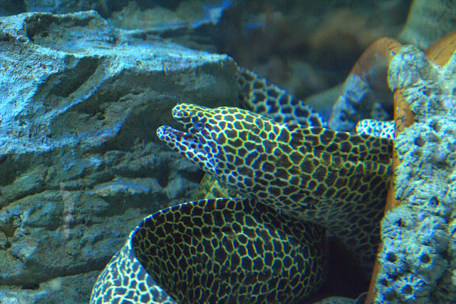 IMG_0123 Jalan-Jalan Terus: Lion City, Singapore