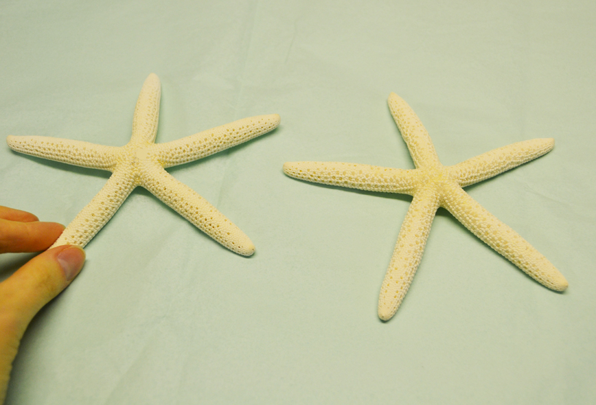 Shorely Chic DIY STARFISH CHRISTMAS TREE TOPPER