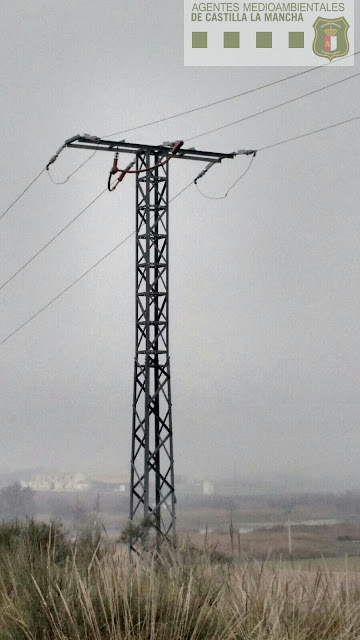 Apoyo eléctrico con los conductores ya aislados Apoyo eléctrico con los conductores ya aislados
