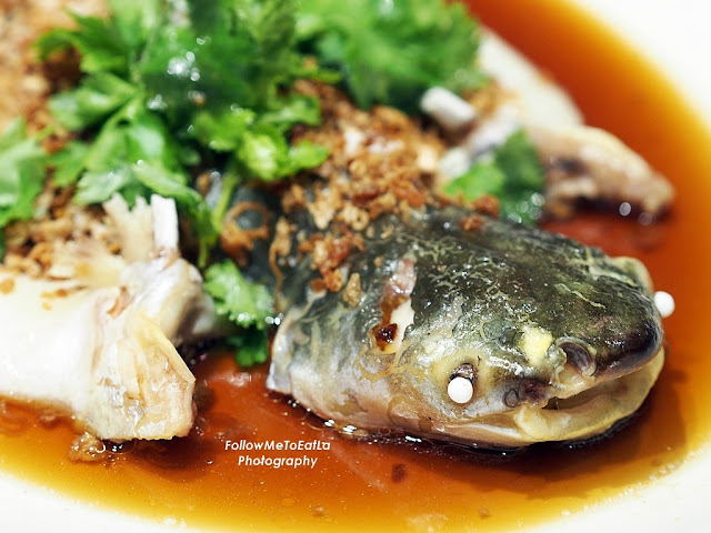  Steamed River Patin With Preserved Vegetables & Onion RM 200 Per kg 