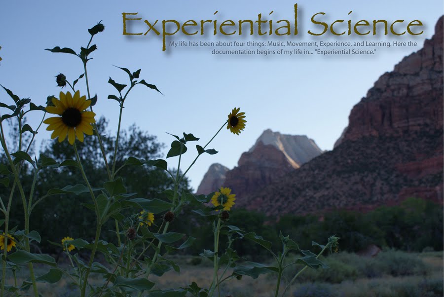 Experiential Science