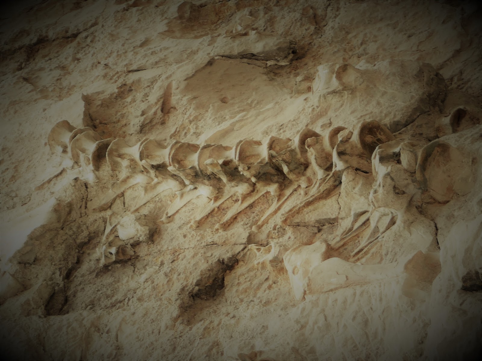 Cozy Rosie Green River Campground Dinosaur National Monument Utah