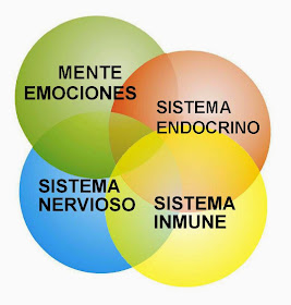 psconeuroinmunología conexión cuerpo mente salud mente emociones