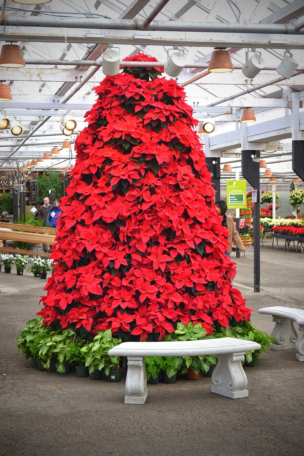 The Outlaw Gardener Molbak's Nursery Delivers Christmas Sparkle!