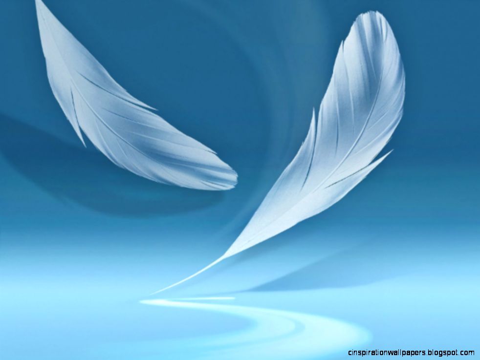 Android Wallpaper For Samsung Galaxy Y Picture Gallery   Free