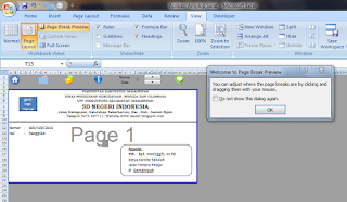 Tampilan Page Break Preview