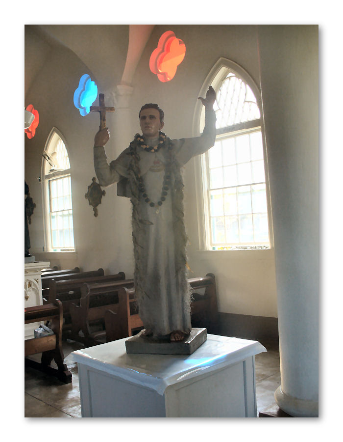 A Catholic Mom in Hawaii Novena St. Damien of Molokai