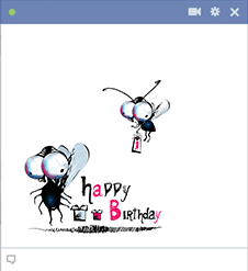 Two Flies Birthday Icon