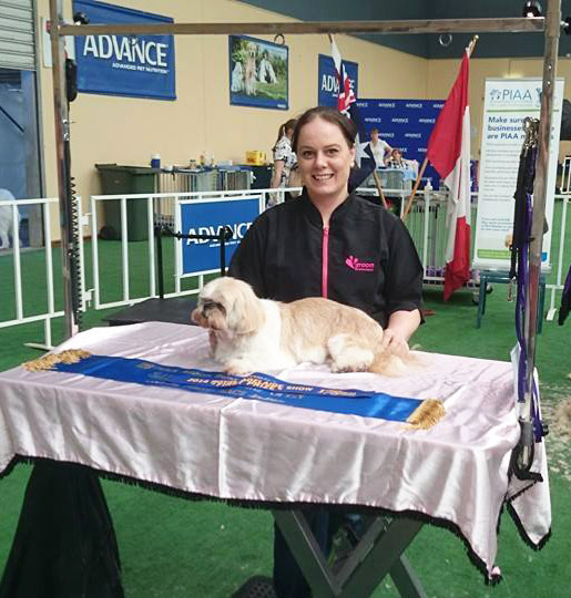 Things Your Dog Groomer Wishes You Knew Australian Dog Lover