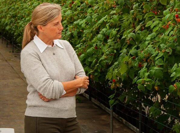 New For­est Fruit com­pa­ny produces strawberries and a new crop, blue honeysuckle berries. The countess wore a grey cashmere sweater