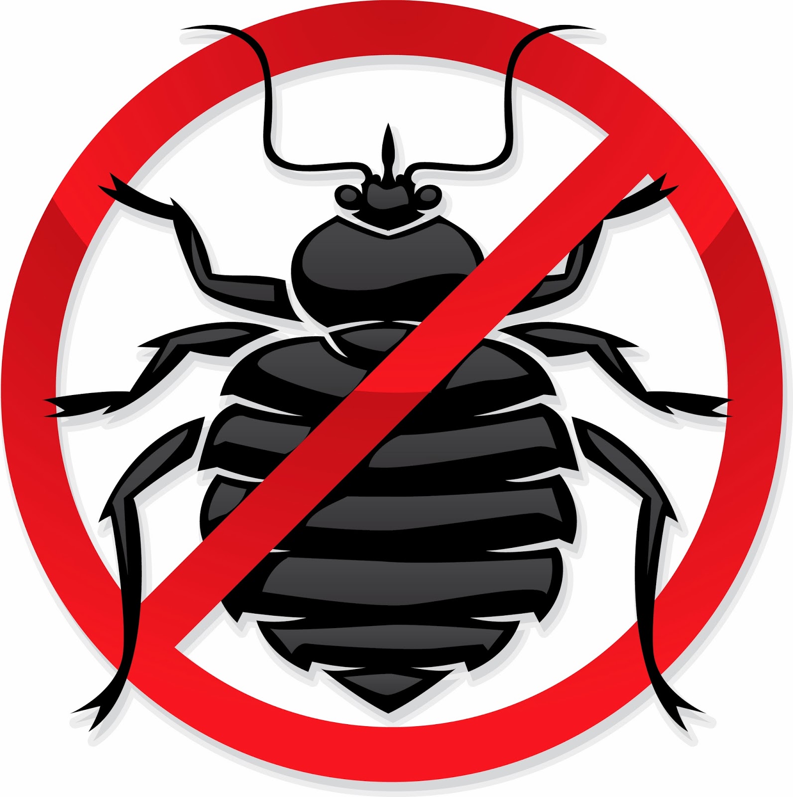 Pest Control Jacksonville FL Bug Evictors Bed Bugs in Jacksonville Florida