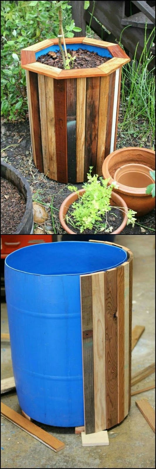 Gardenology: Possible Garden Projects!