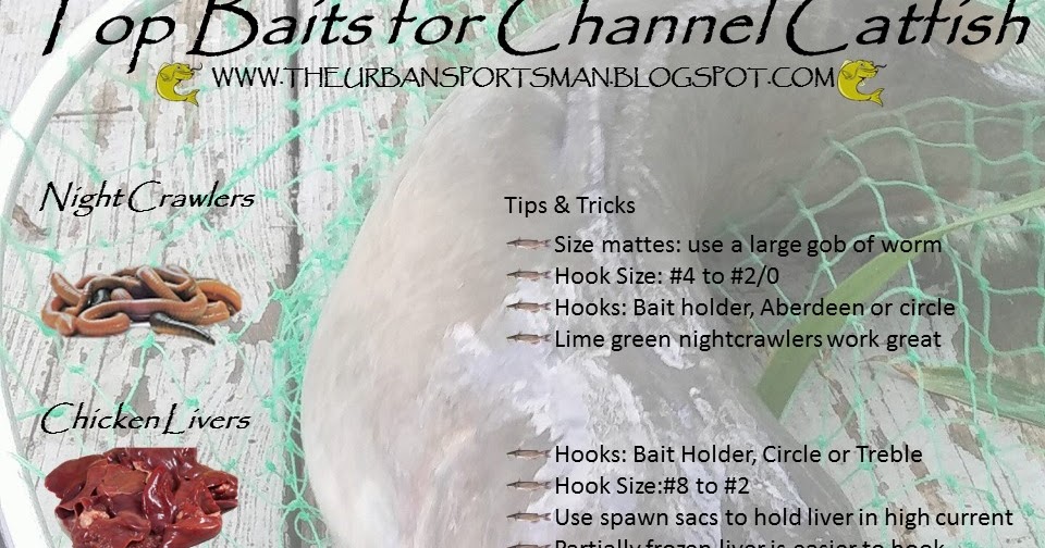 Drop A Line Outdoors, LLC Top Baits For Catching Channel Catfish