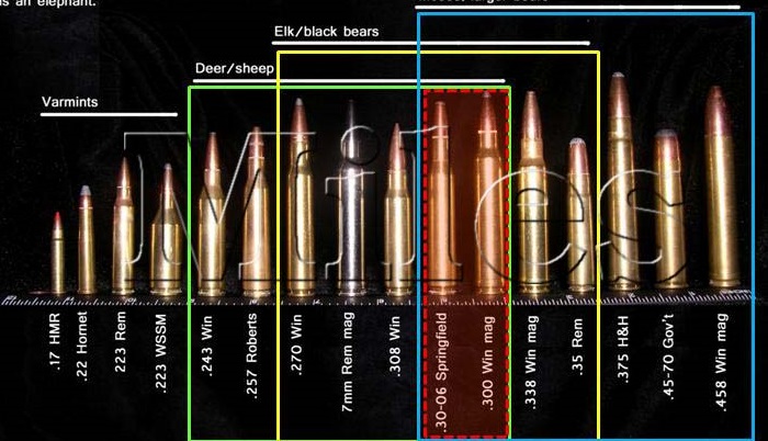 Nu2Guns: What Caliber are YOU?