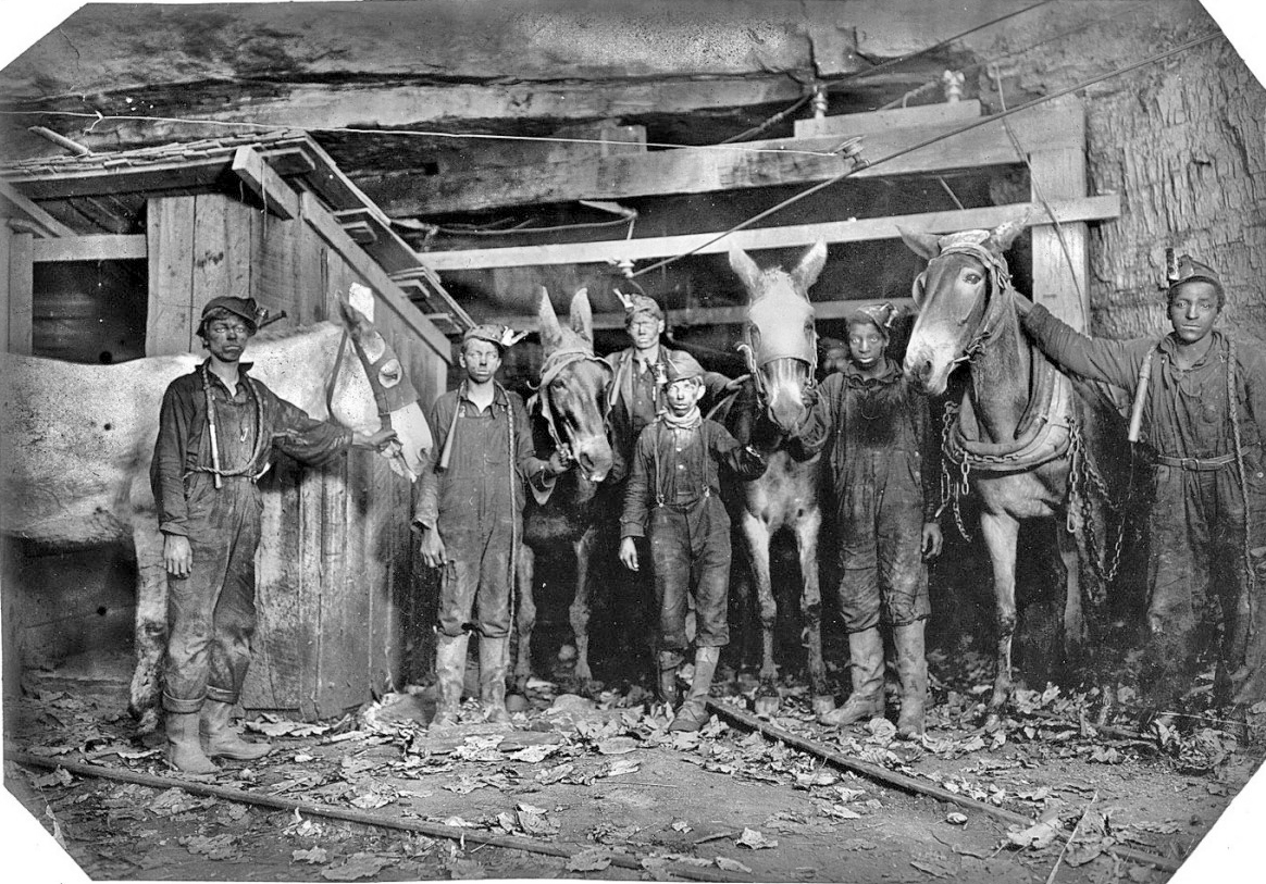 The Digital Research Library of Illinois History Journal™ The