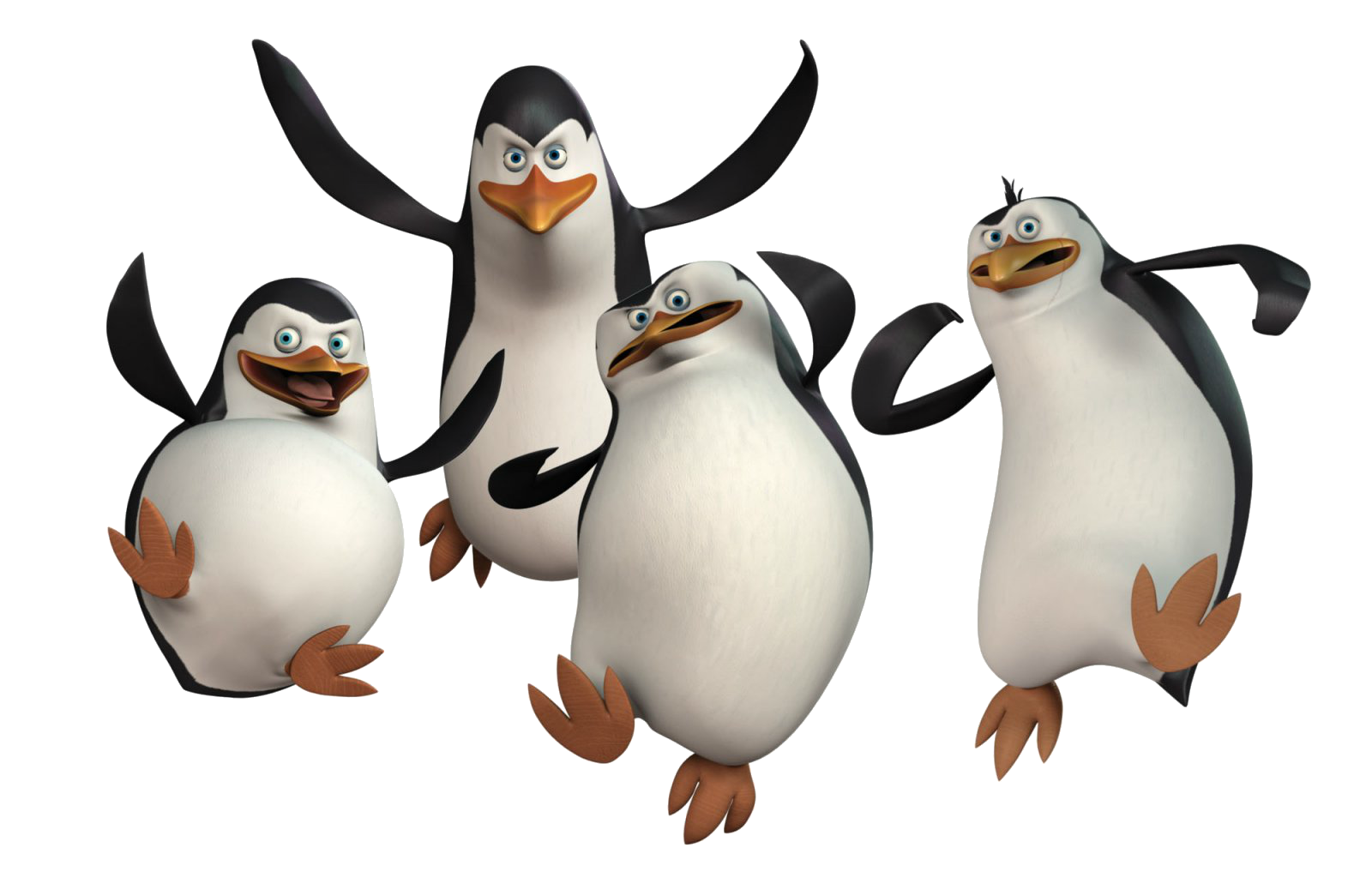 Madagaskar Pinguine Madagaskar Pinguine
