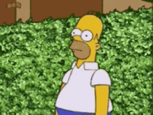 Homer Backing Into Hedge