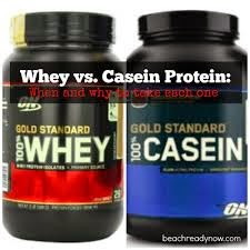 Casein Powder and Protein Powder 