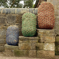 elim a net hay nets elim a net hay nets