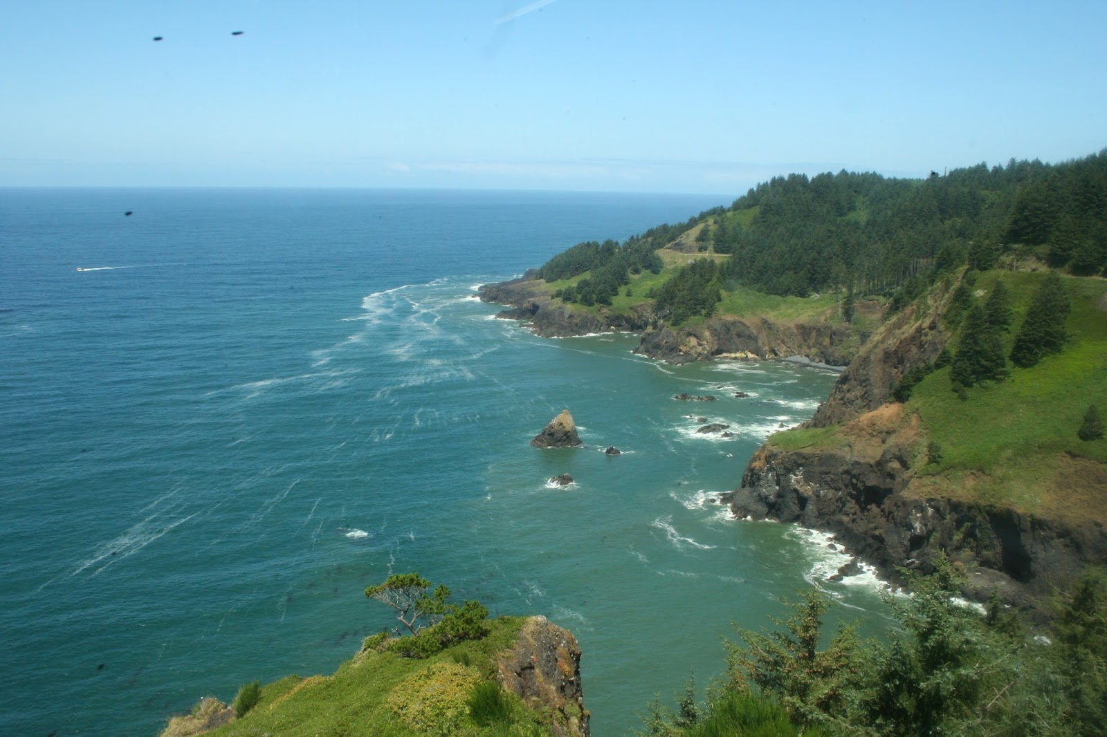 Our Odyssey A Drive Down the Coast to Newport, Oregon