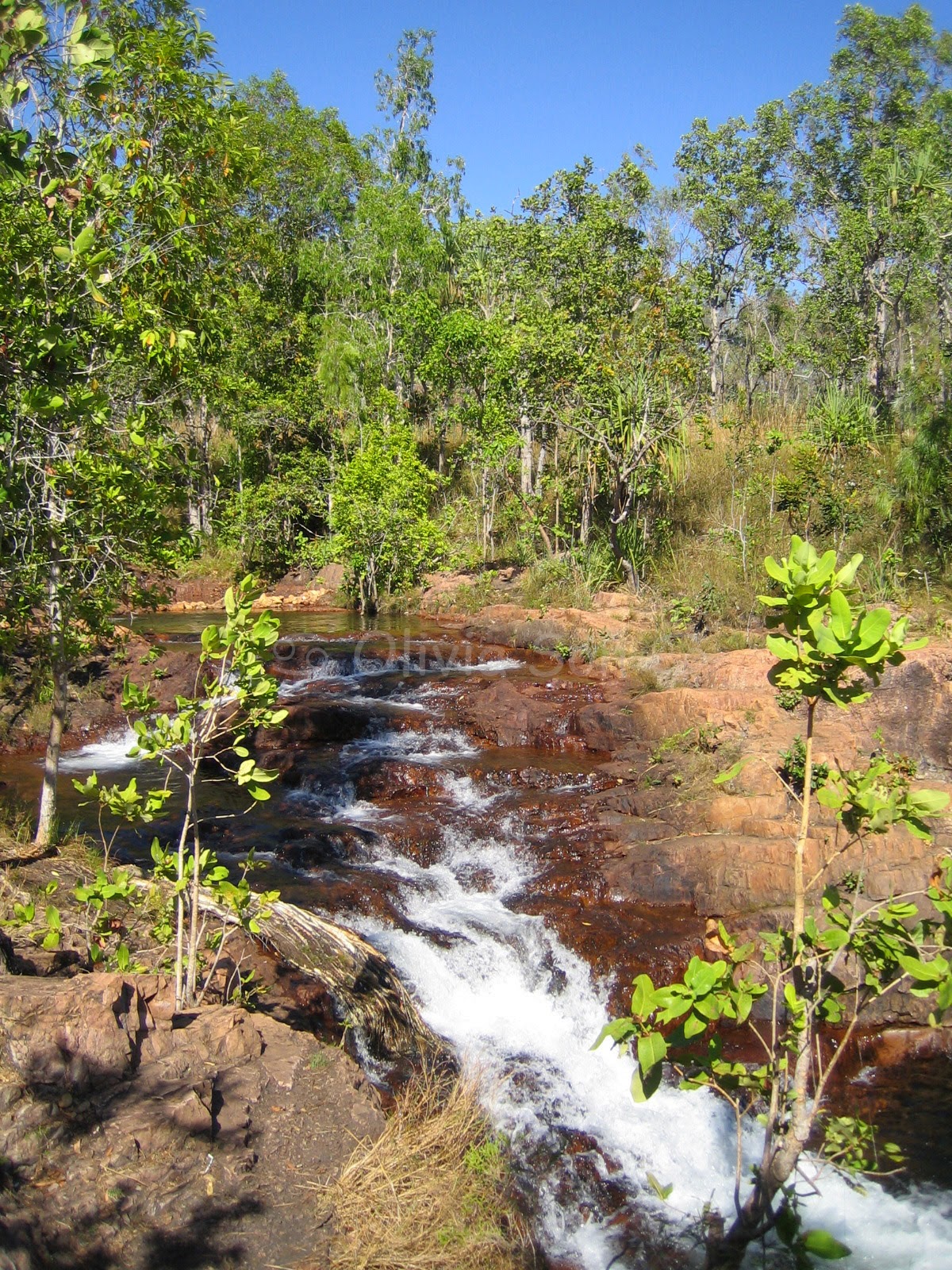 Litchfield National Park, Northern Territory, Australie
