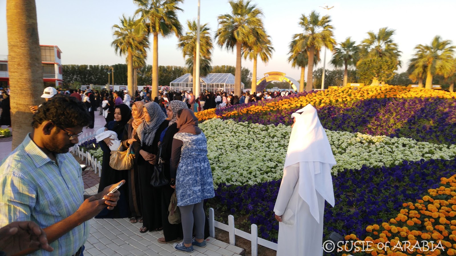 Jeddah Daily Photo Yanbu Crowds at Flower Festival