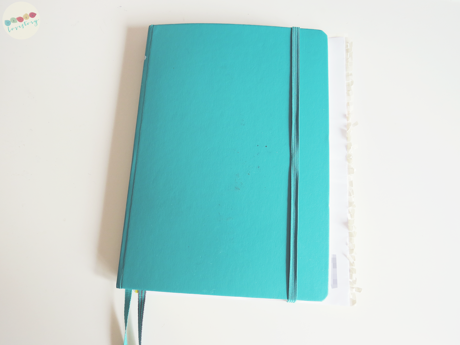 leuchtturm 1917 diary review