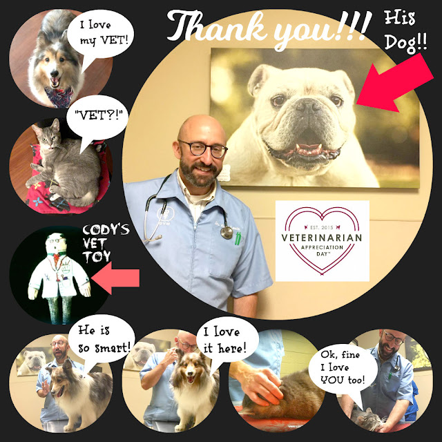 Cat and DOG Chat With Caren Veterinarian Appreciation Day 2018