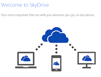 SkyDrive Pro