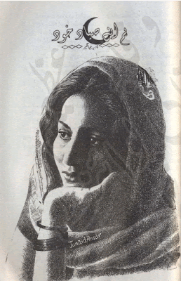 Hum apnay syad khud by Nadia Jahangir pdf