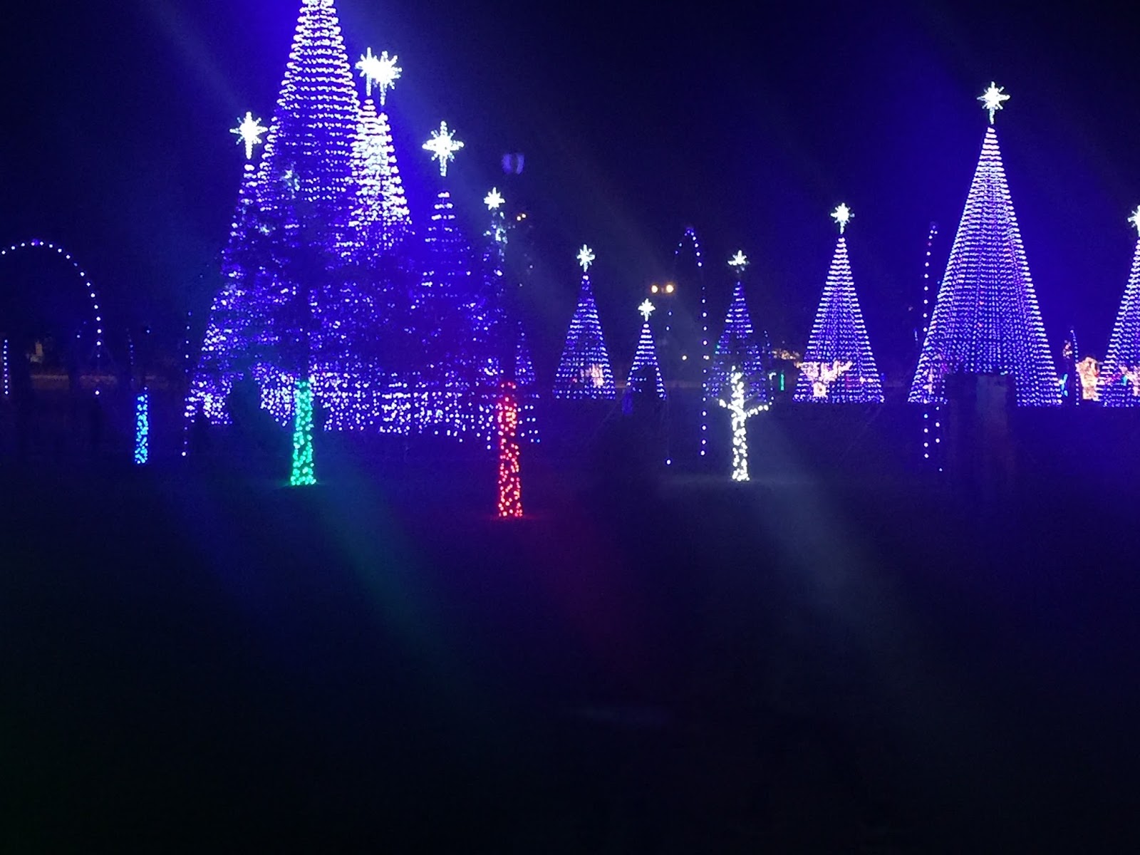 Random Thoughts Christmas lights at Jones Park Gulfport, MS