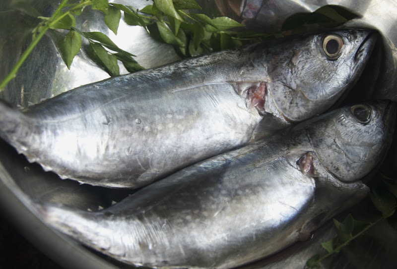 Indonesian Medan Food Gulai Tongkol Aceh Curried Tuna 