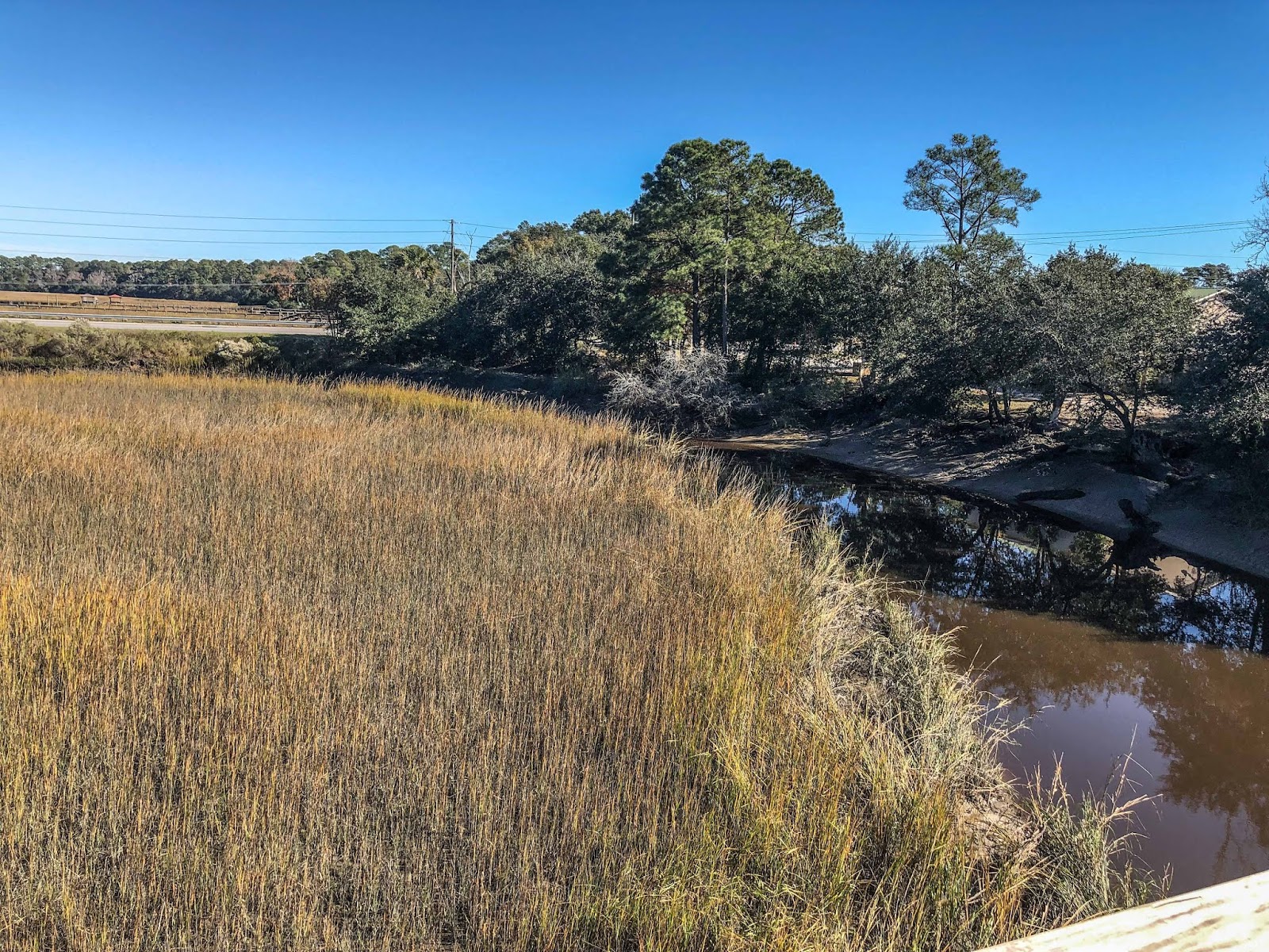 On The Road Full Time Rving Spanish Moss Trail Beaufort SC
