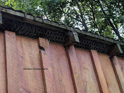 chicken raccoons chickens protect coop predator wire proof raccoon run safe keep through