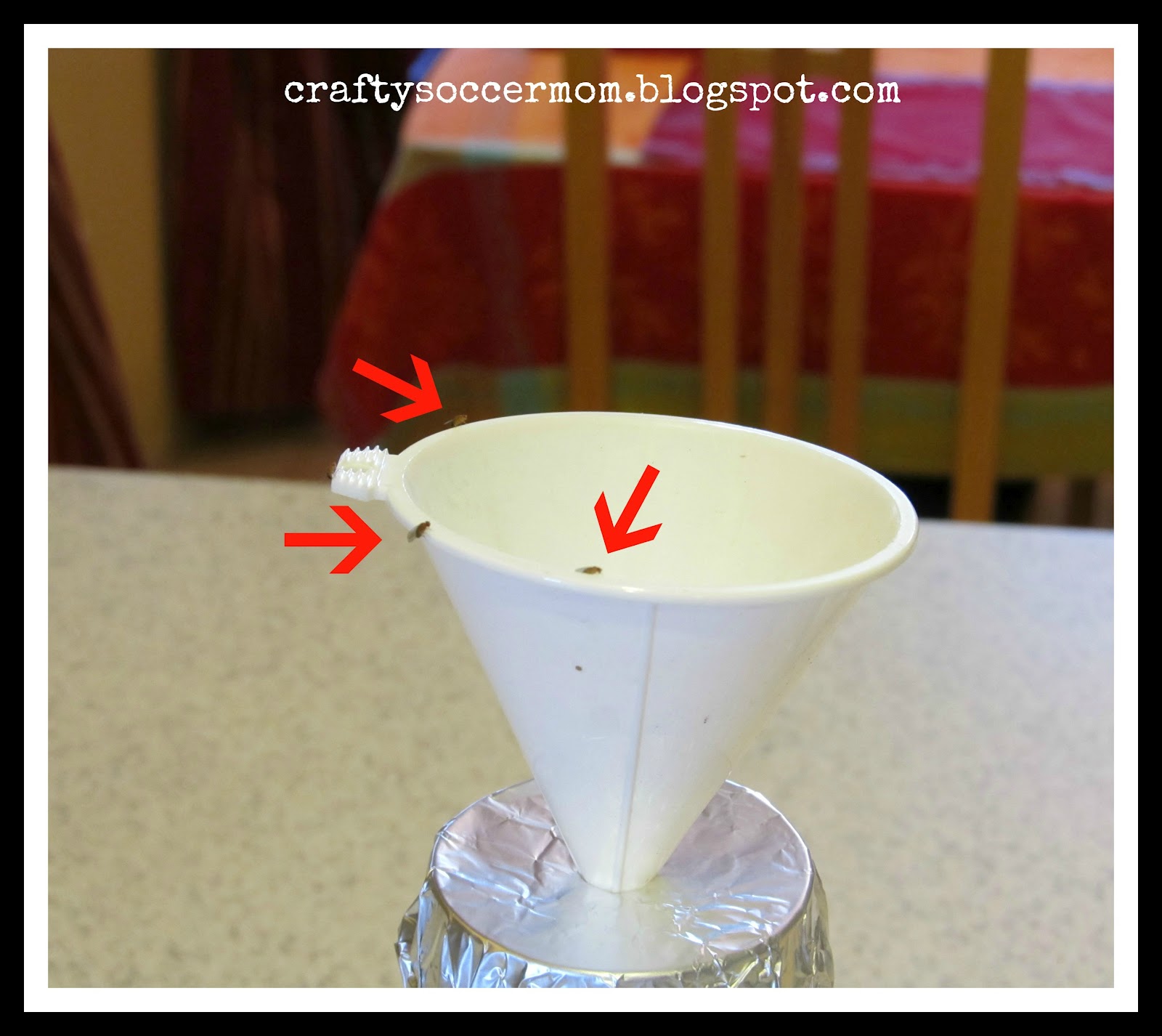 Crafty Soccer Mom: Fruit Fly Trap