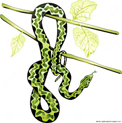 snake rainforest clipart cliparts vectors tree
